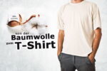 Von der Baumwolle zum T-Shirt: Die Stationen auf dem Weg bis in den Kleiderschrank